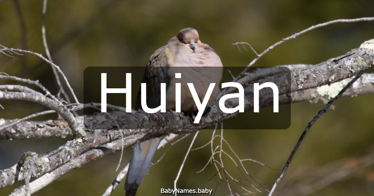 Huiyan