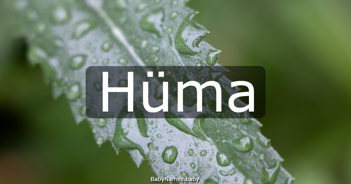 Hüma
