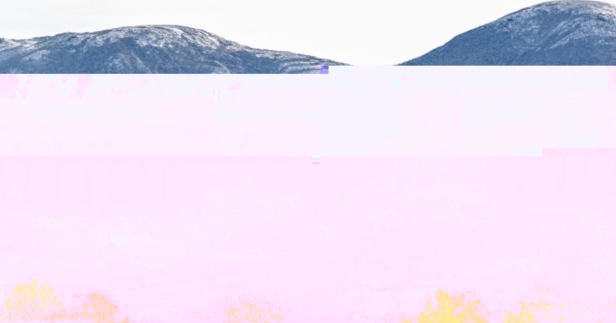 Hümér