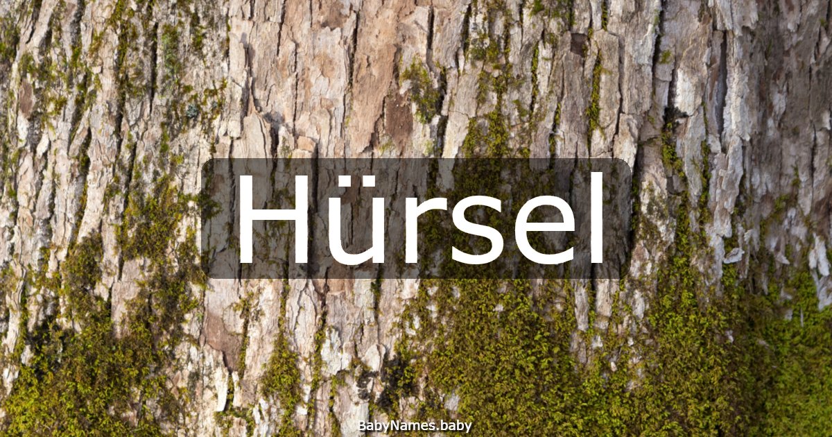 Hürsel