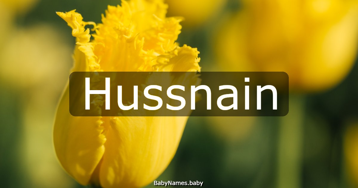 Hussnain