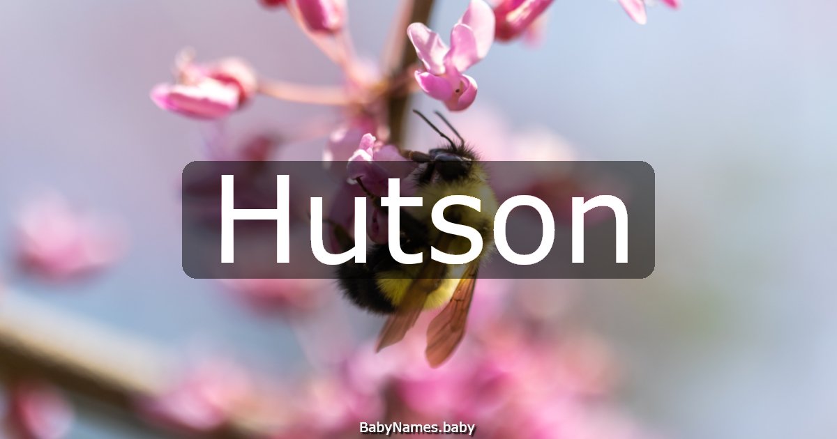 Hutson