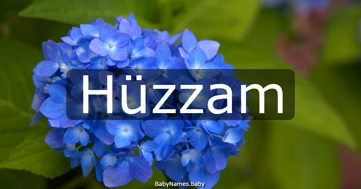 Hüzzam