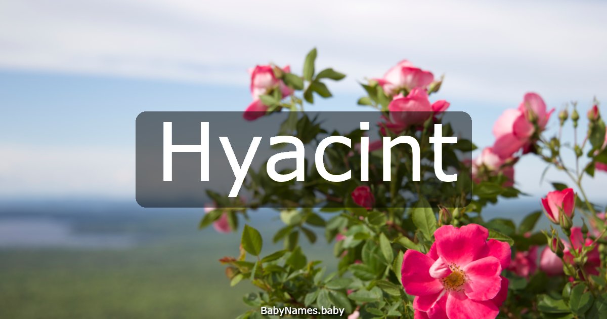 Hyacint