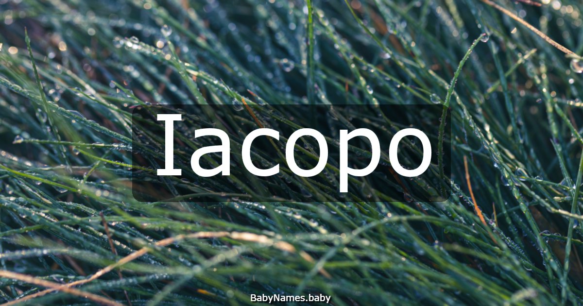 Iacopo
