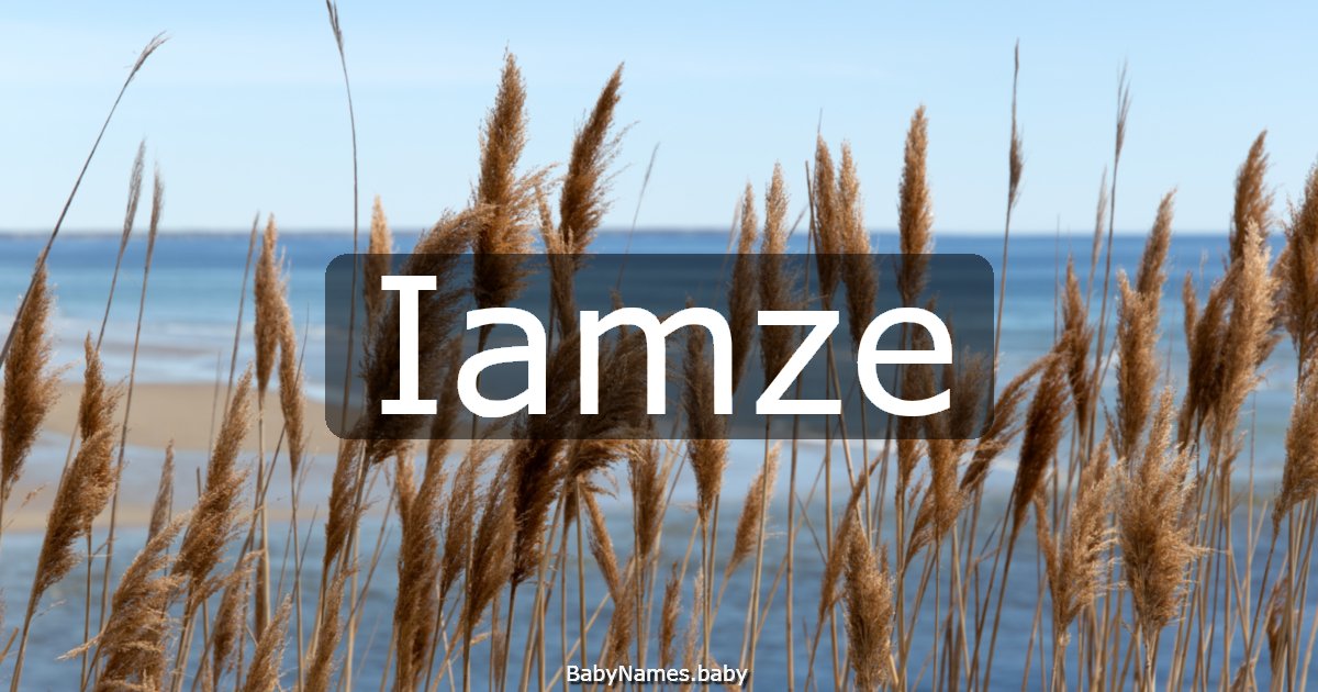 Iamze