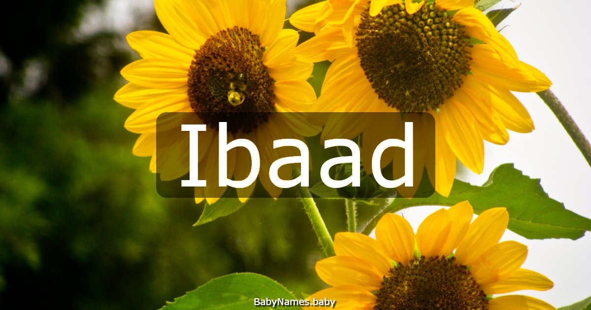 Ibaad