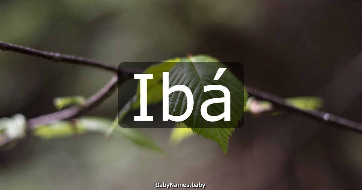 Ibá
