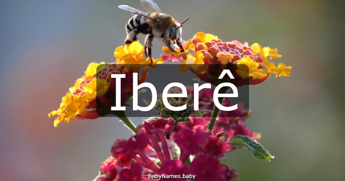 Iberê