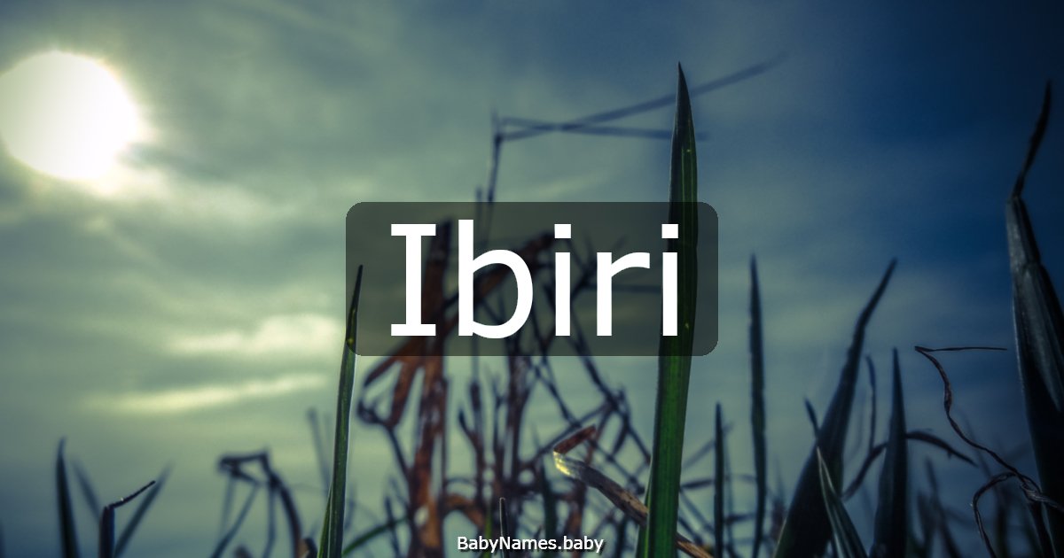 Ibiri