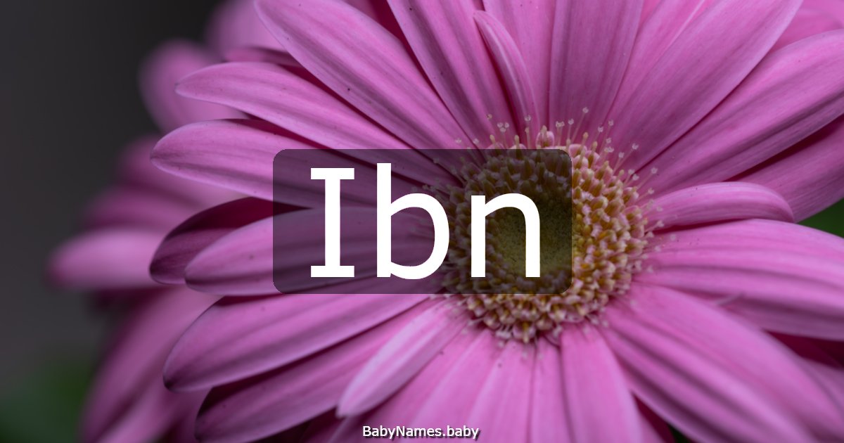 Ibn