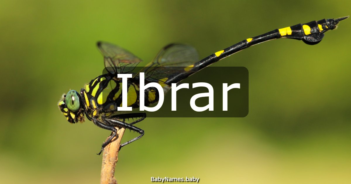 Ibrar