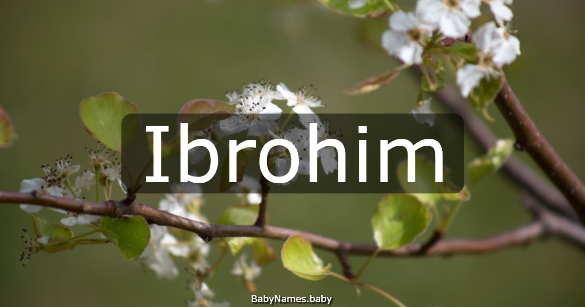 Ibrohim