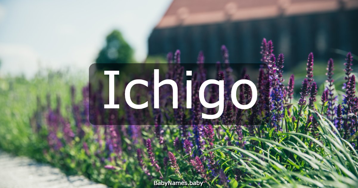 Ichigo