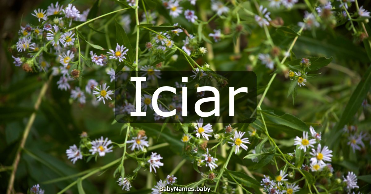 Iciar