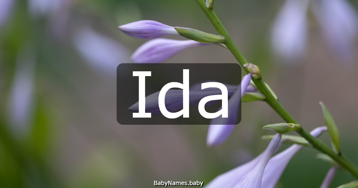 Ida