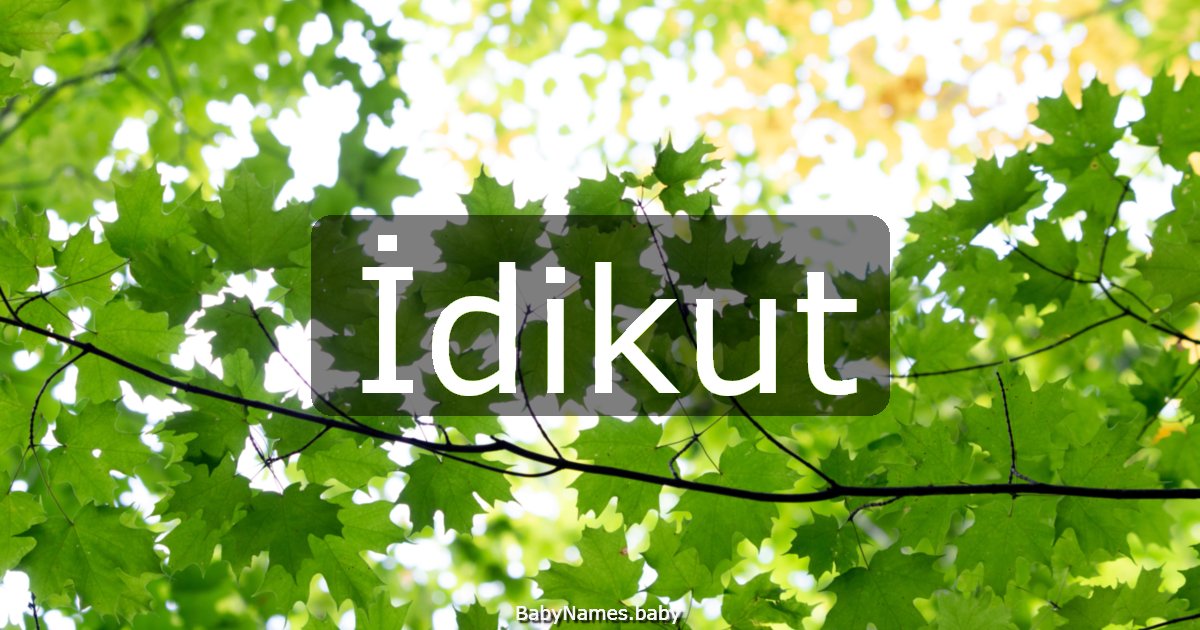 İdikut
