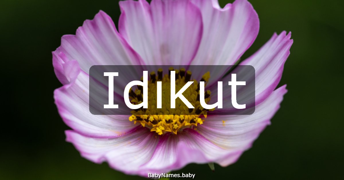 Idıkut