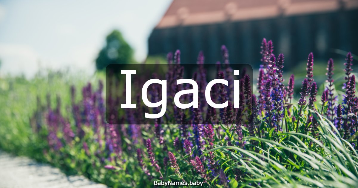 Igaci