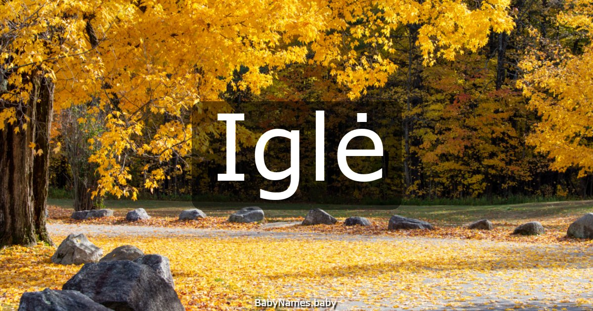 Iglė
