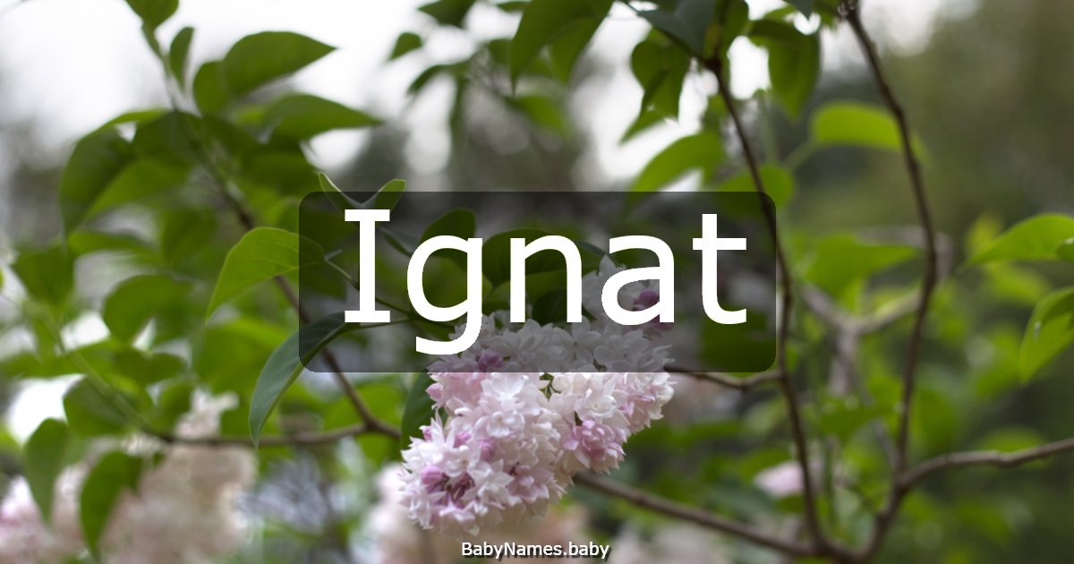 Ignat