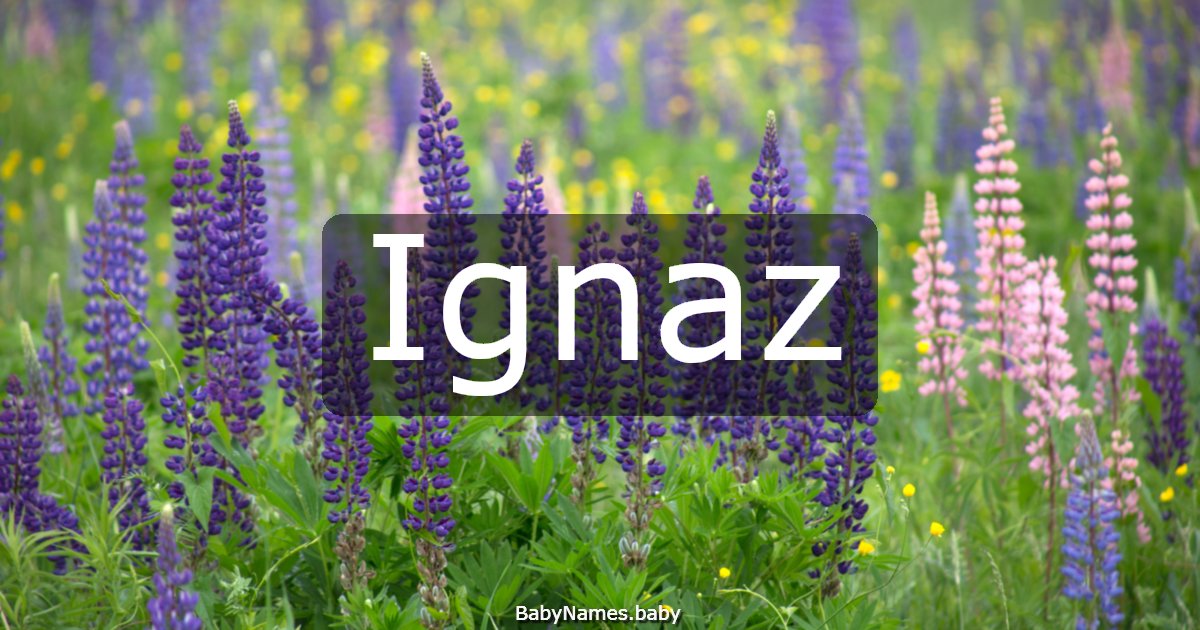 Ignaz