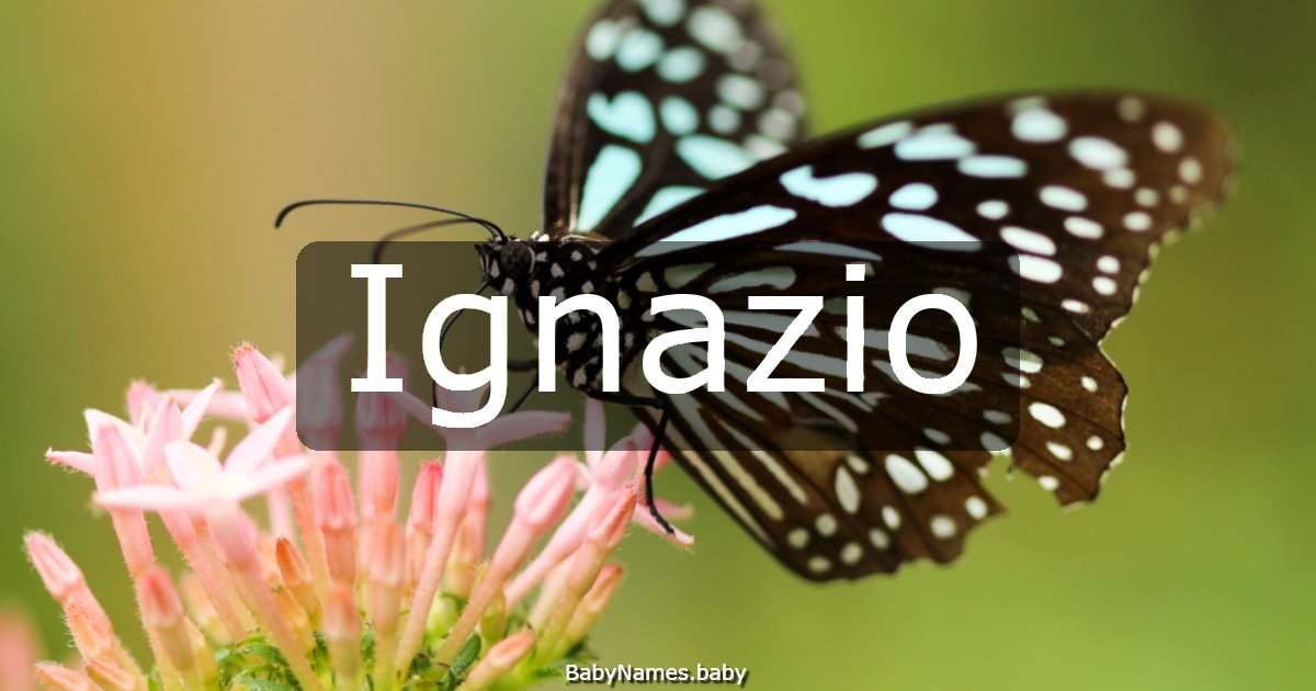 Ignazio