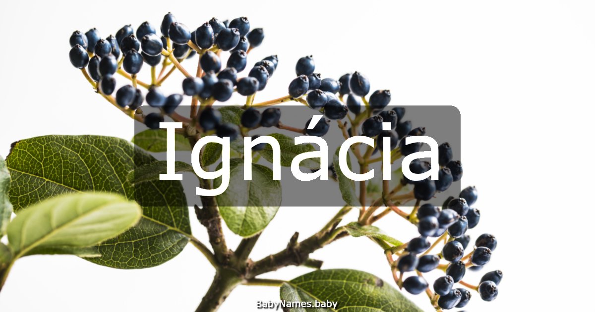 Ignácia