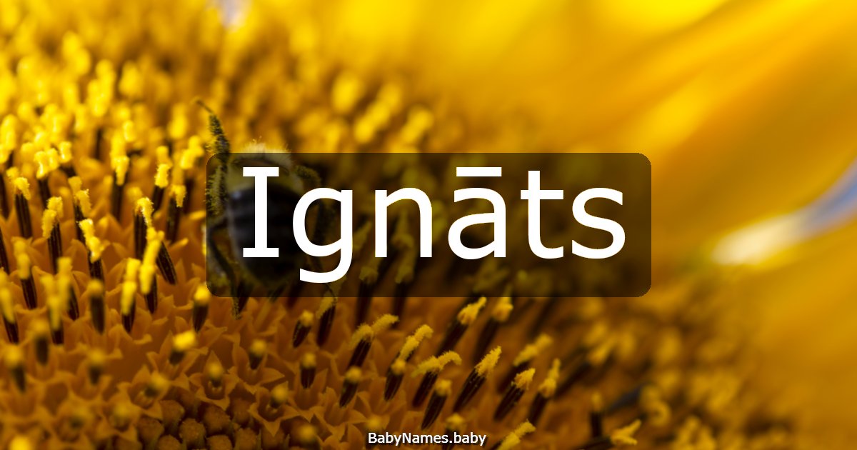 Ignāts
