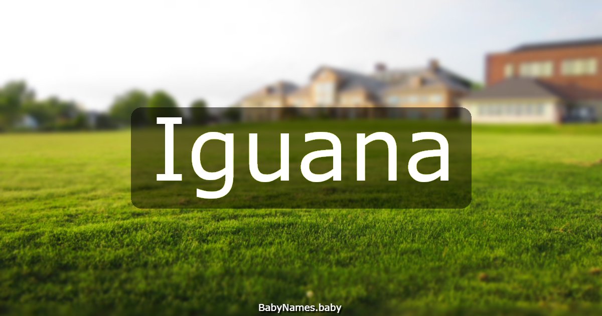 Iguana