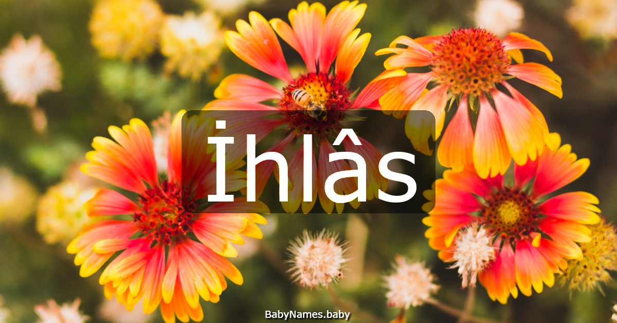 İhlâs