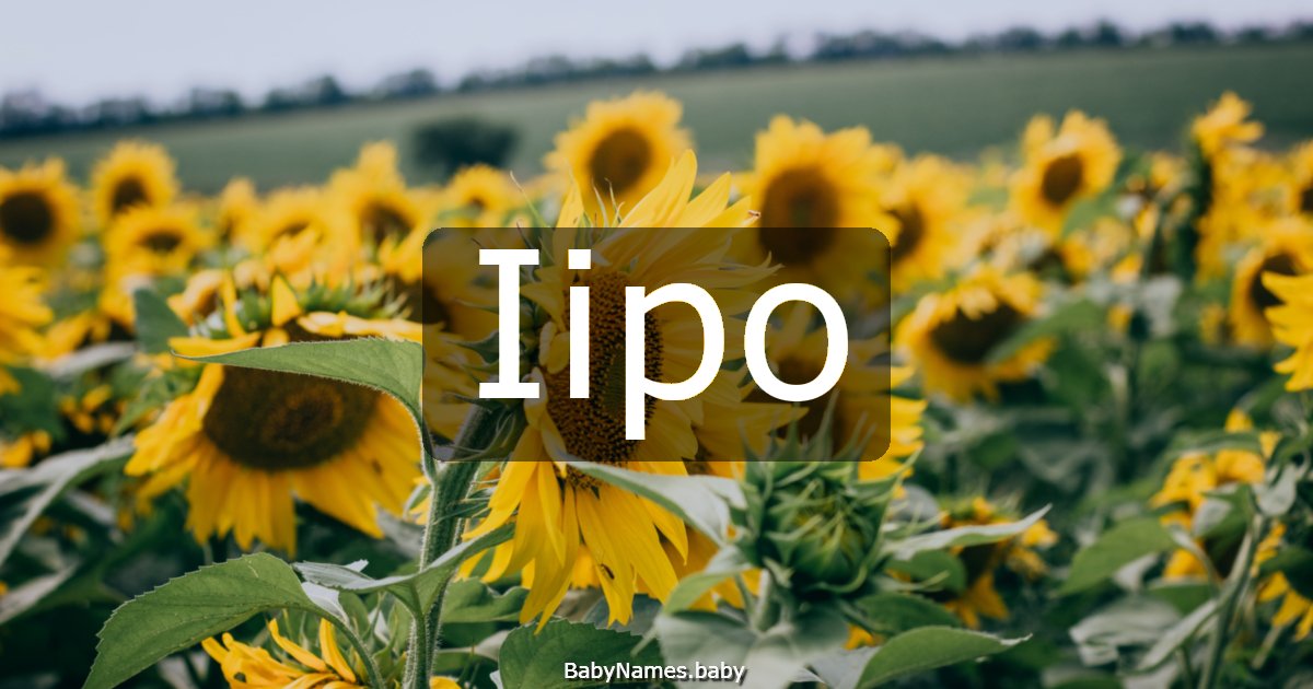 Iipo