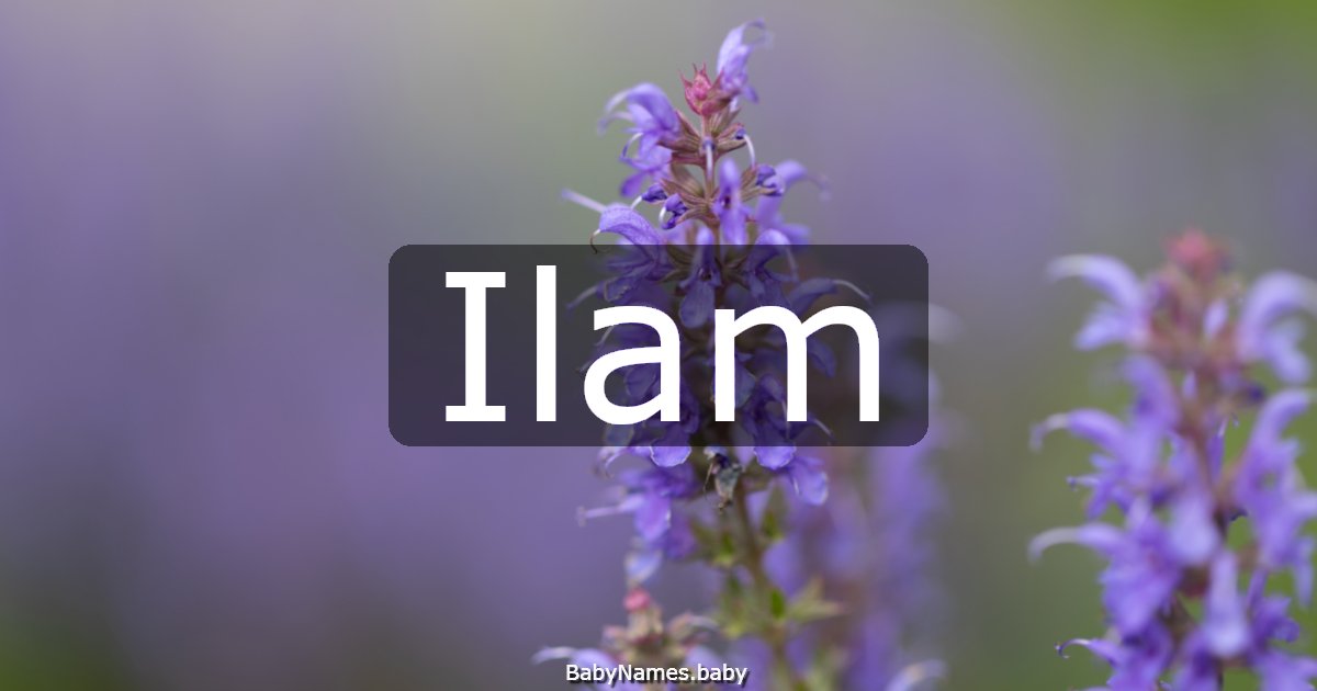 Ilam