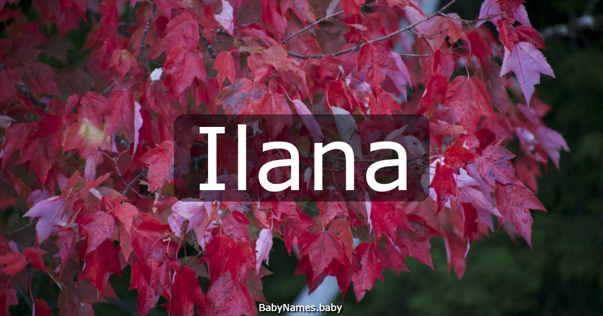 Ilana