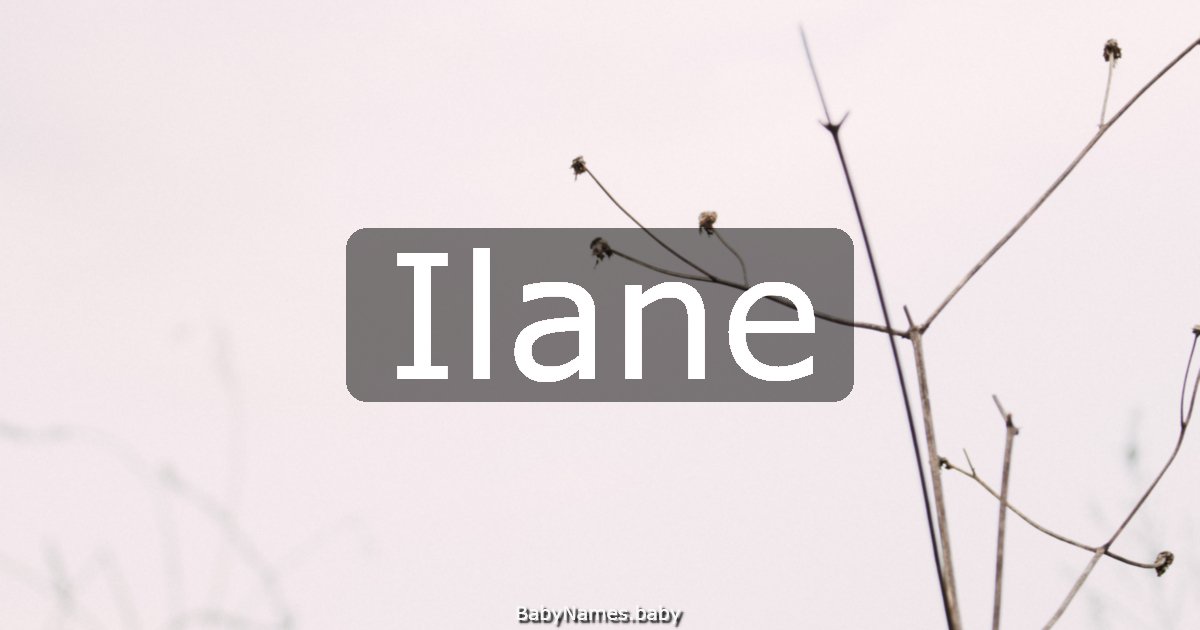 Ilane
