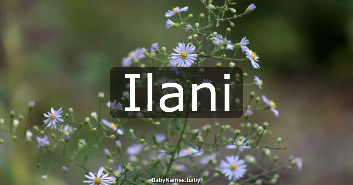 Ilani