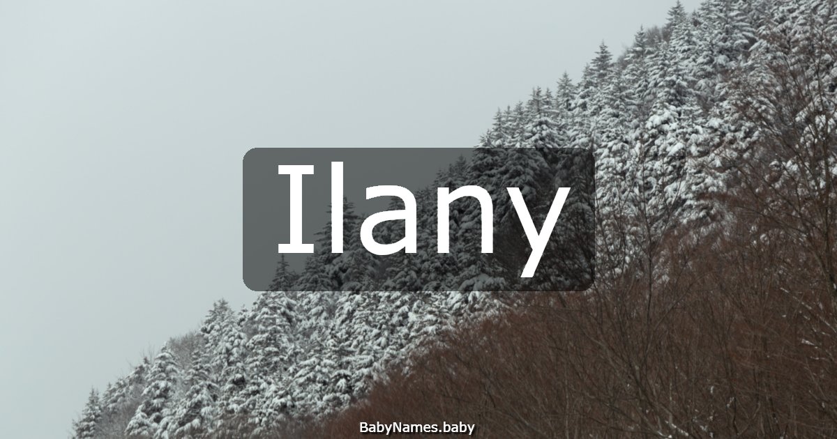 Ilany