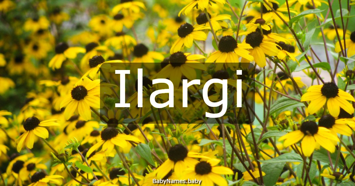 Ilargi