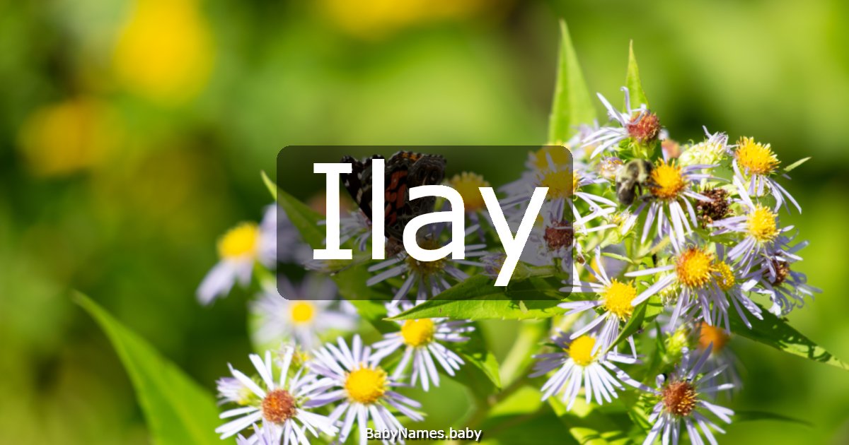 Ilay