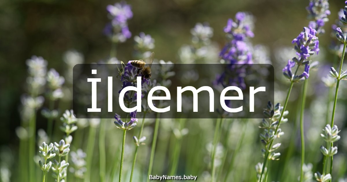 İldemer