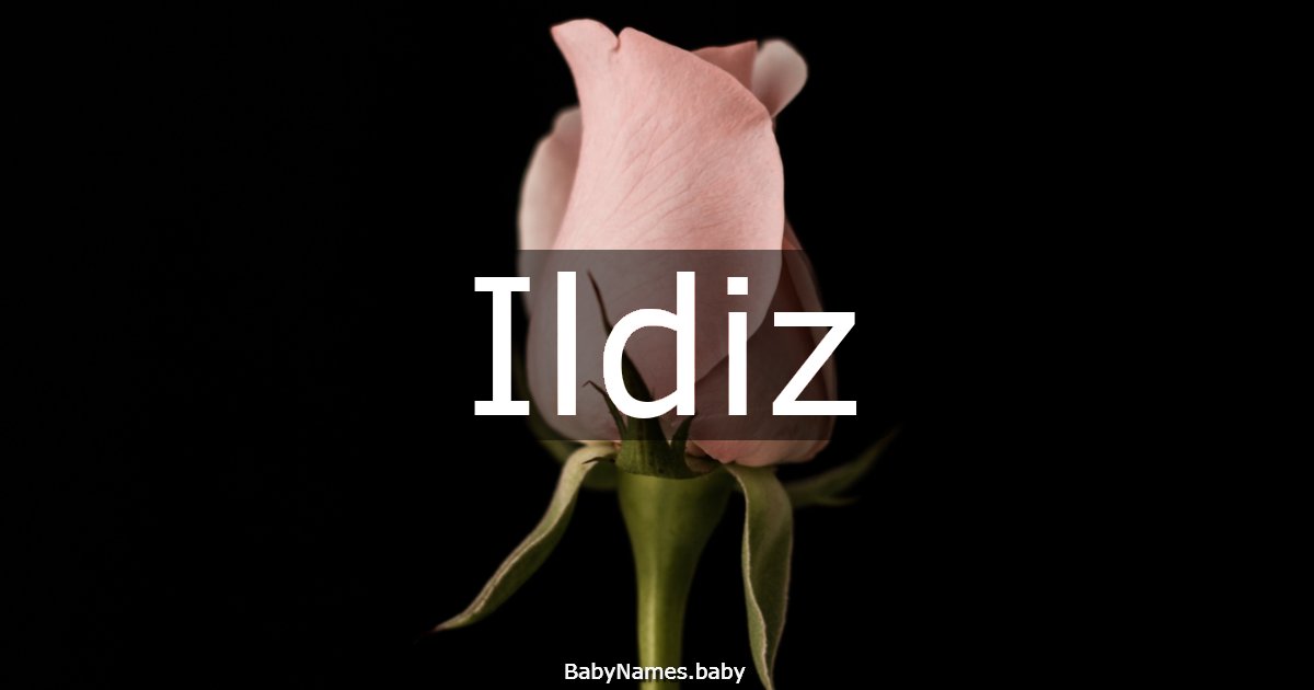 Ildiz