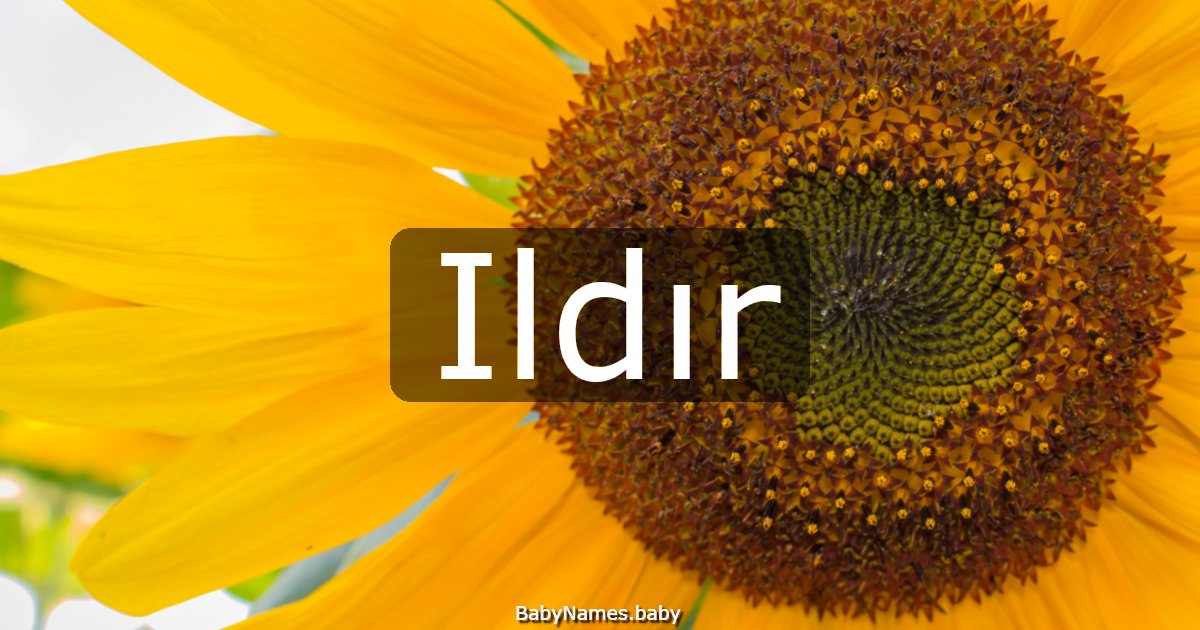 Ildır