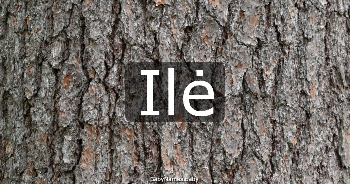 Ilė