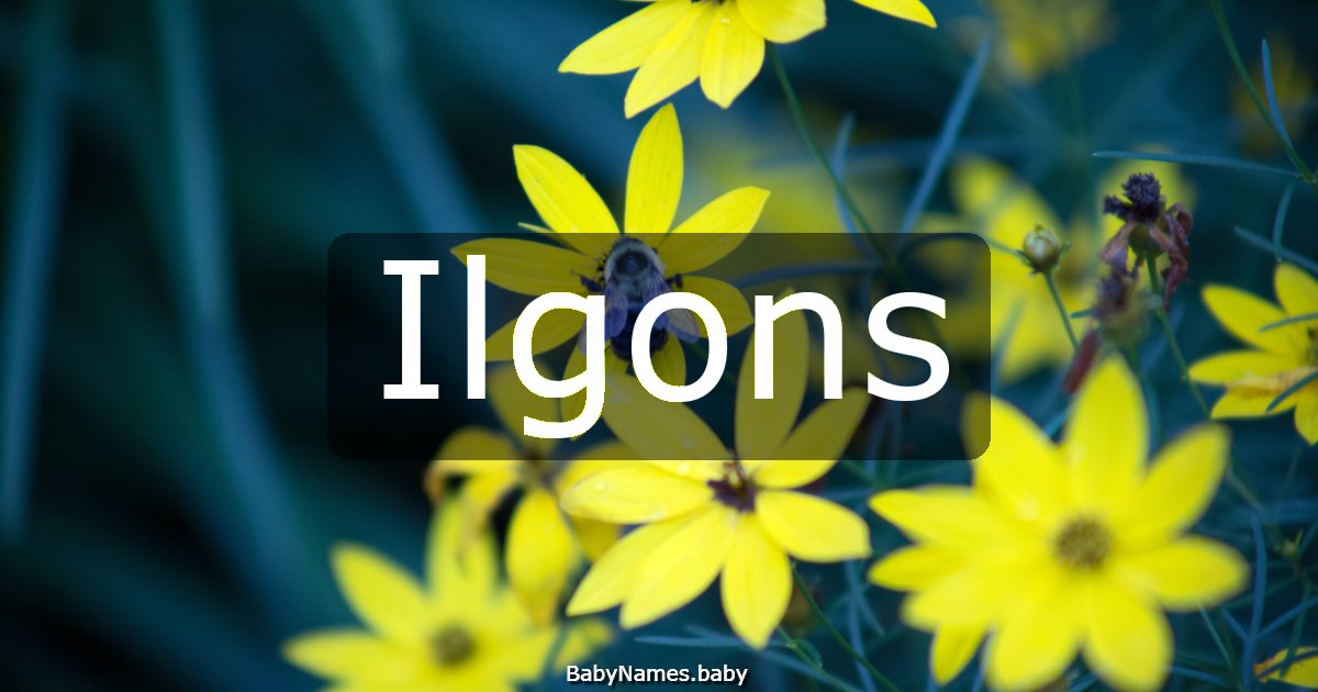 Ilgons