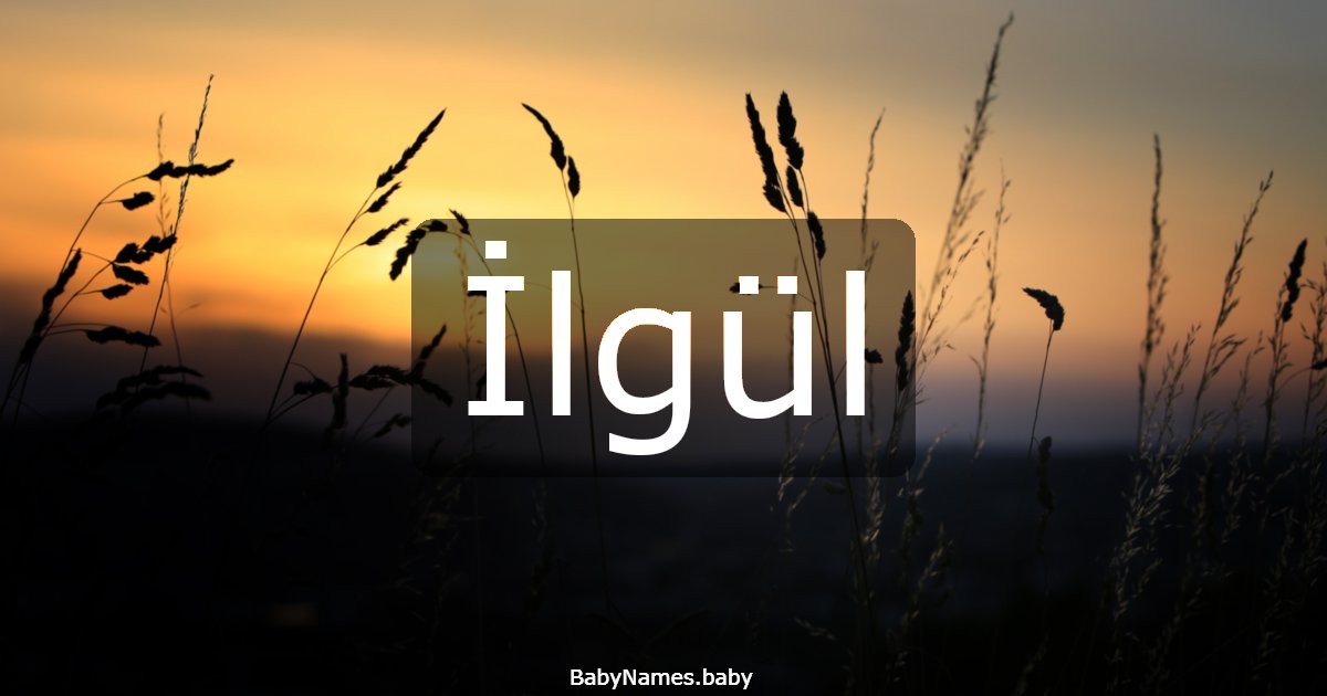 İlgül