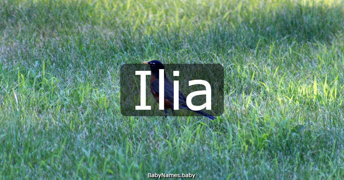 Ilia