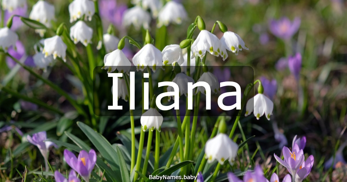 Iliana