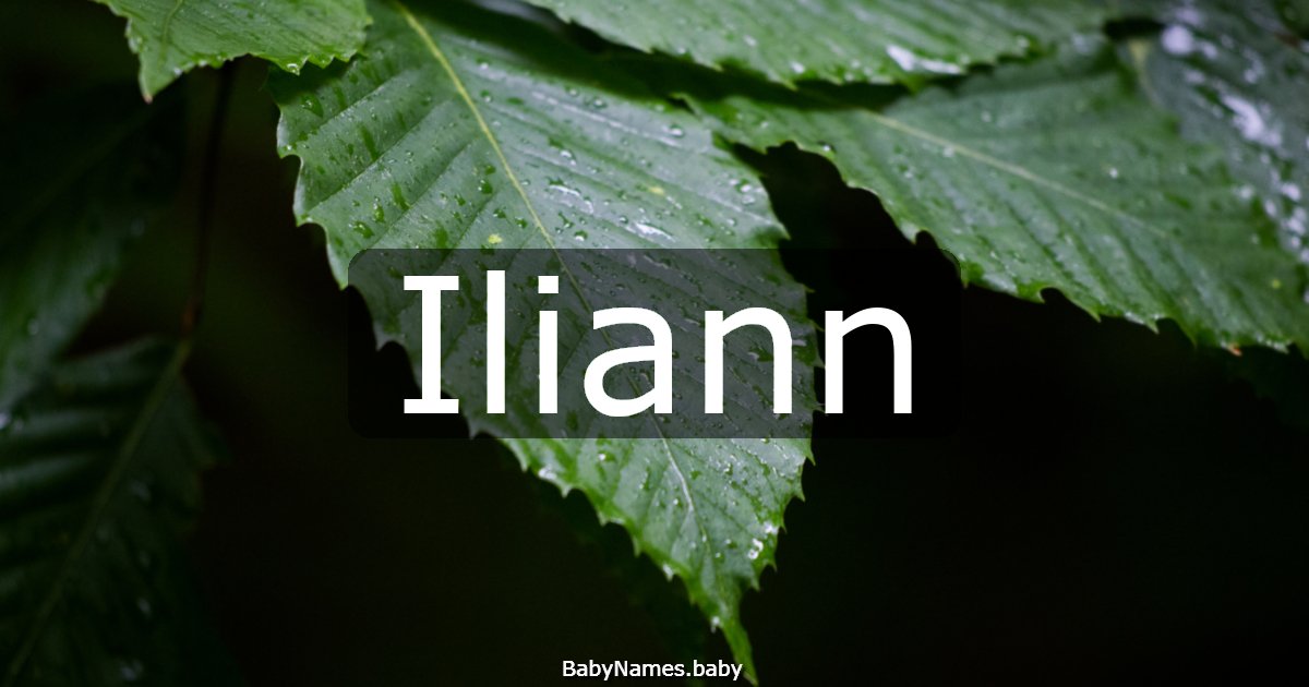 Iliann