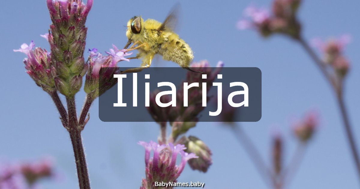 Iliarija