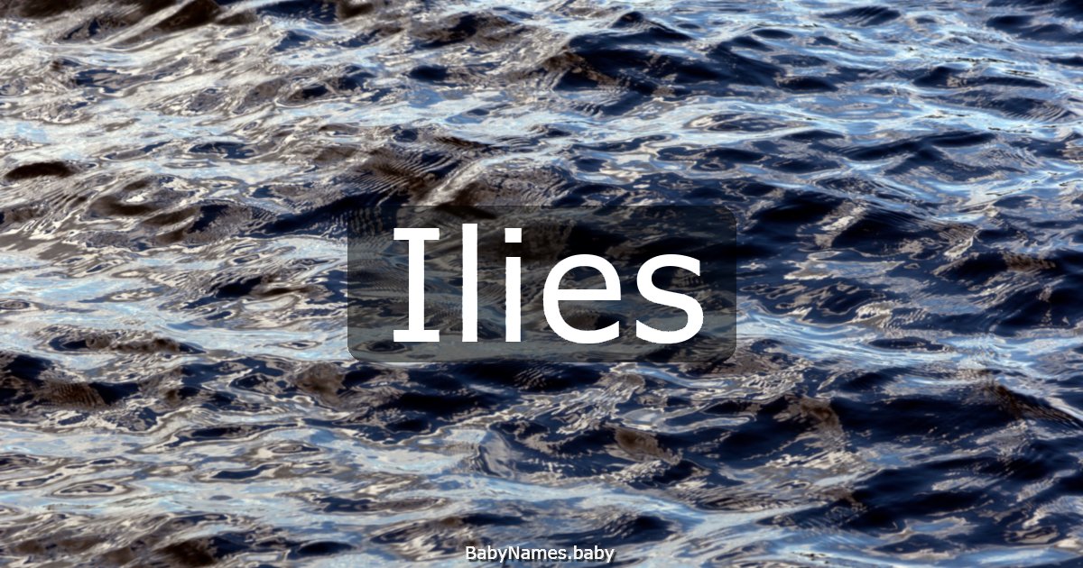 Ilies